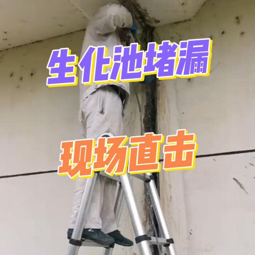 生化池堵漏全流程大揭秘！