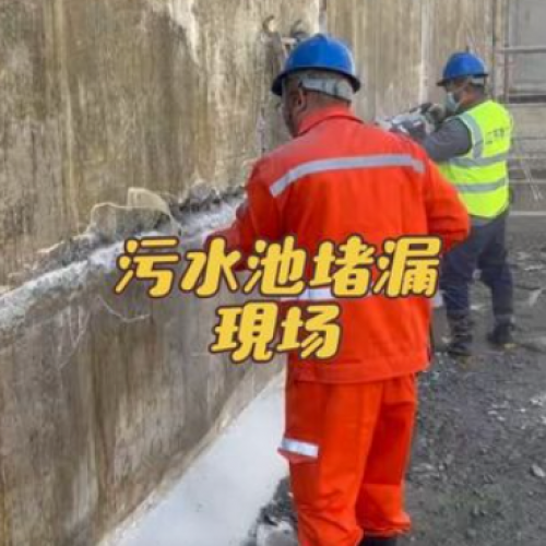 污水池堵漏施工需严格遵循“排、清、导、堵、防”相结合的原则。